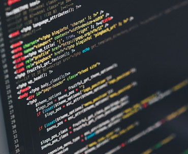 Web designing services