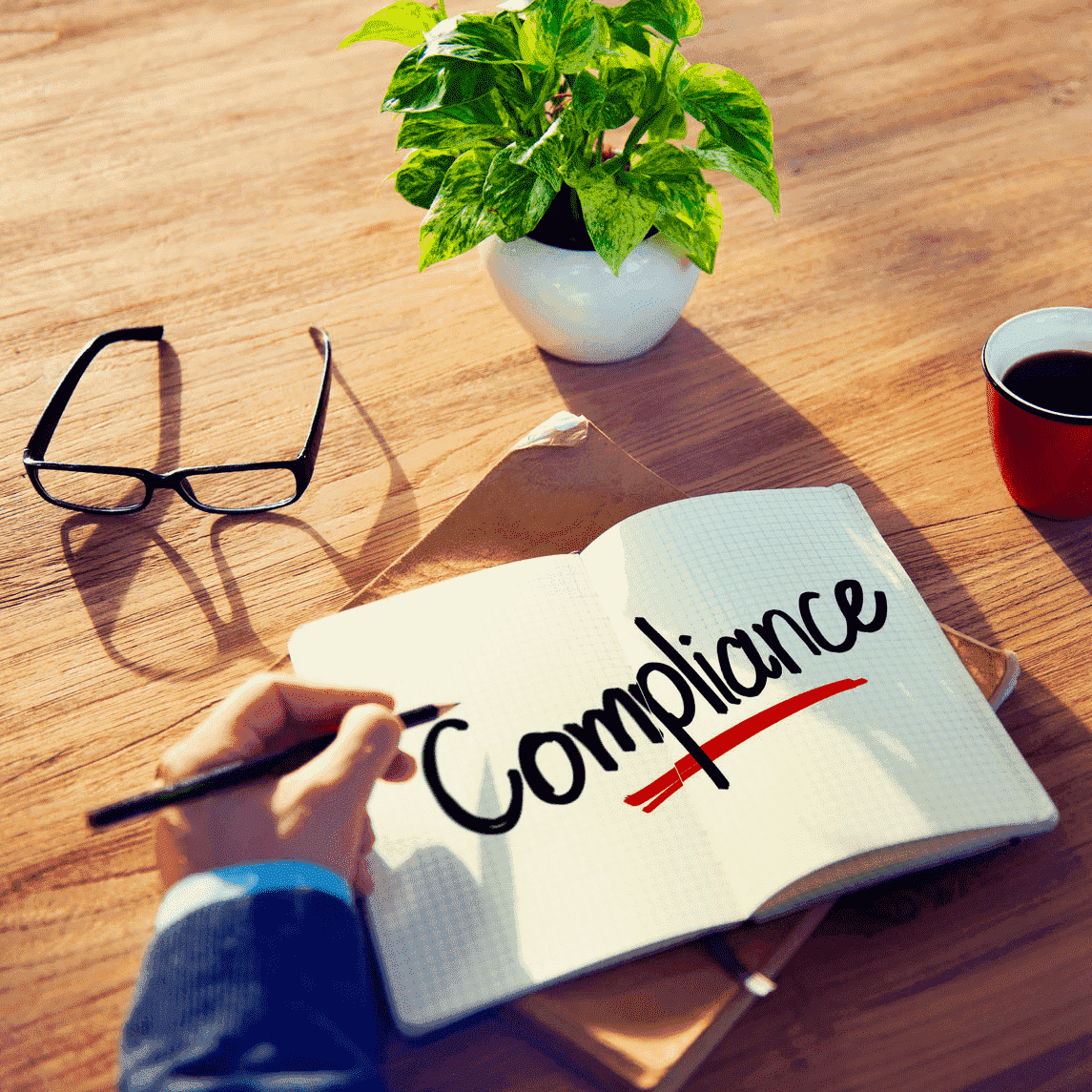 Statutory Compliance U.S.A & INDIA